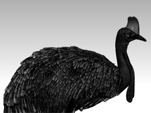 Cassowary 3D Druckmodell