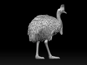 Cassowary 3D Print Model