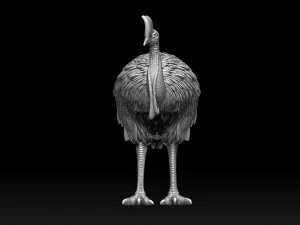 Cassowary 3D Print Model