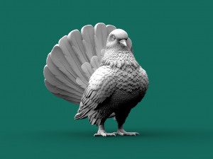Pigeon 3D Print Model