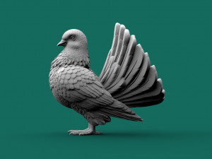 Pigeon 3D Print Model