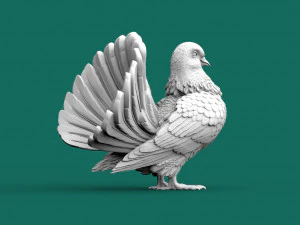 鳩 3Dプリントモデル