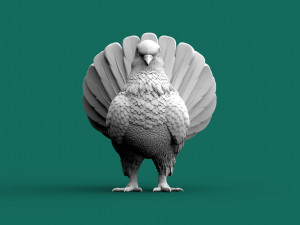 Pigeon 3D Print Model