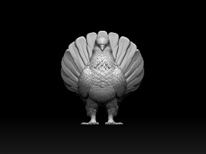 Pigeon 3D Print Model