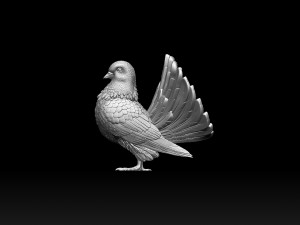Pigeon 3D Print Model