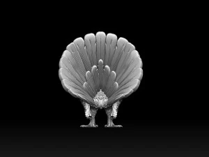 鳩 3Dプリントモデル