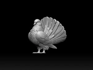 鳩 3Dプリントモデル