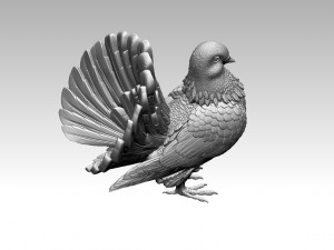 Pigeon 3D Print Model
