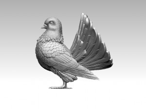 Pigeon 3D Print Model