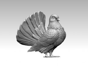 Pigeon 3D Print Model
