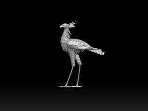 Bird secretary 3D 프린트 모델