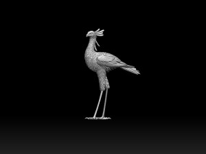 Bird secretary 3D 프린트 모델