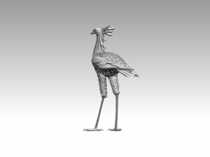 Bird secretary 3D 프린트 모델