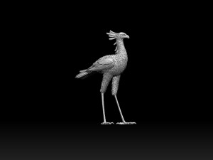 Bird secretary 3D 프린트 모델