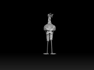Bird secretary 3D 프린트 모델