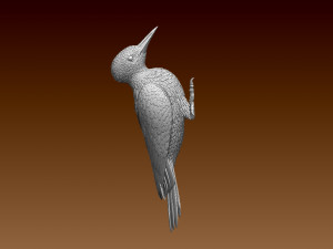 Woodpecker 3D-printmodel