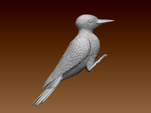 Woodpecker 3Dプリントモデル