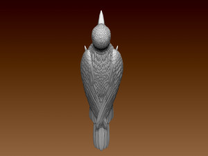 Woodpecker 3Dプリントモデル
