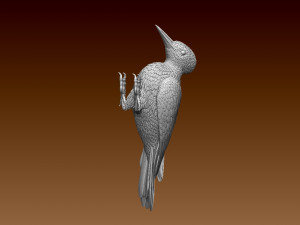 Woodpecker 3Dプリントモデル