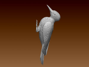 Woodpecker 3Dプリントモデル