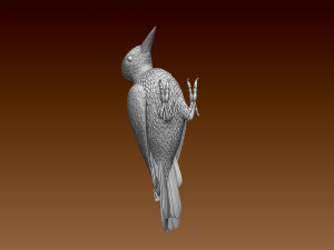 Woodpecker 3Dプリントモデル