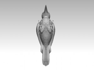 Woodpecker 3Dプリントモデル