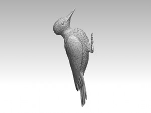 Woodpecker 3Dプリントモデル