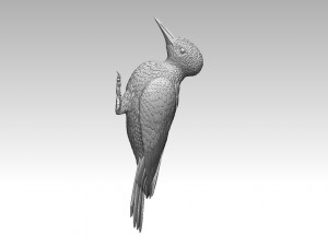 Woodpecker 3Dプリントモデル