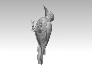 Woodpecker 3Dプリントモデル