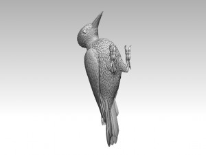 Woodpecker 3Dプリントモデル