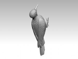 Woodpecker 3Dプリントモデル