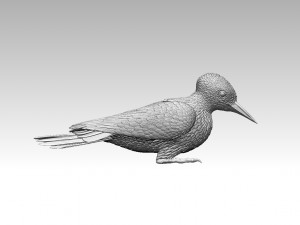 Woodpecker 3Dプリントモデル