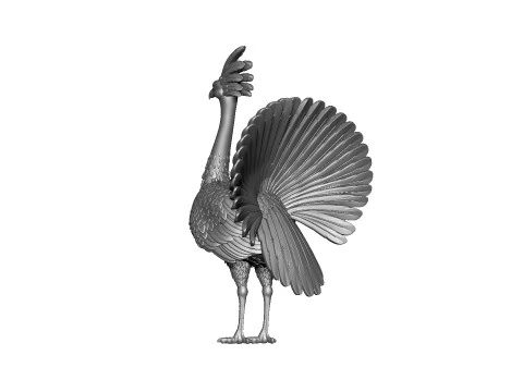 Bird High-Quality Printable CG Asset 3DExport 3D Model