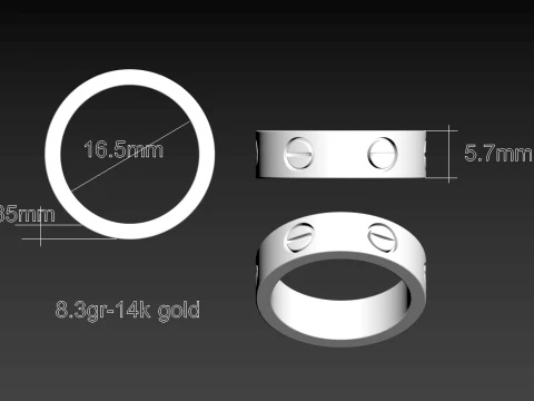 Earrings ring screw 3D Print Model