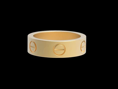 Earrings ring screw 3D Print Model