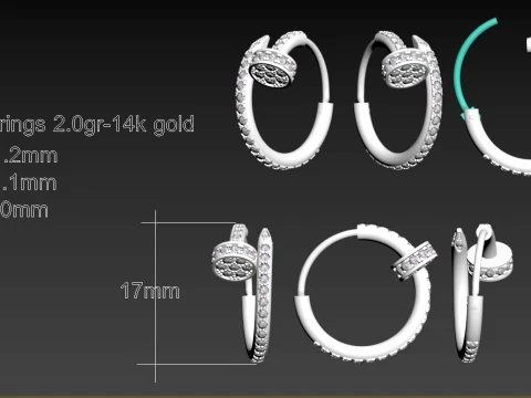 Earrings ring nail 3D Print Model