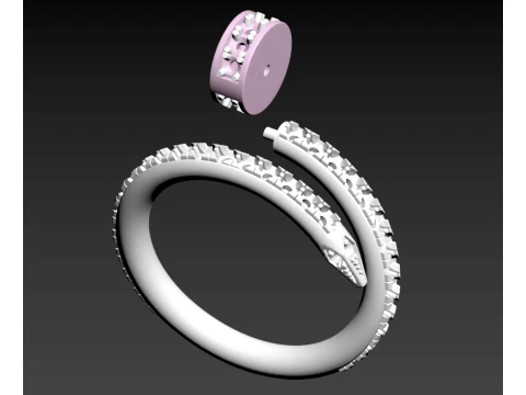 Earrings ring nail 3D Print Model