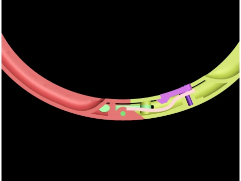 Bracelet panther 3D Print Model