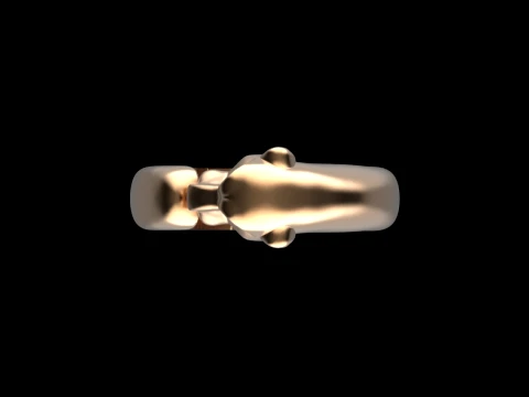 Ring Panther 3D Print Model