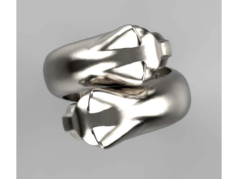 Ring Panther 3D Print Model