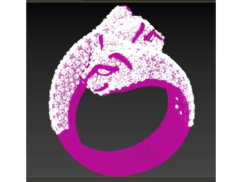 Ring Panther 3D Print Model