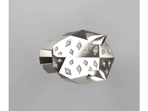 Ring Panther 3D Print Model