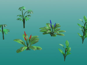 Tropical plants 3D Model