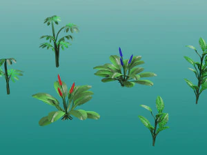 Tropical plants 3D Model