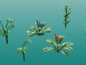 Tropical plants 3D Model