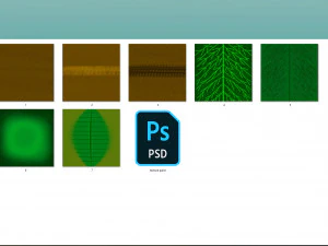 Tropical plants 3D Model