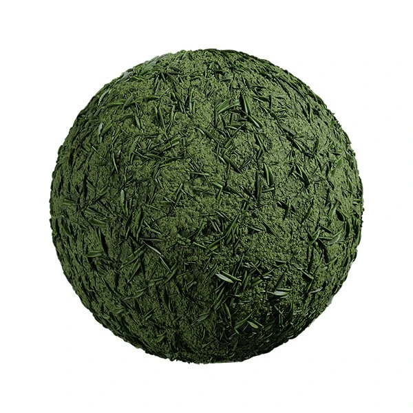 Grass 02 CG Textures .c4d .max .obj .3ds .fbx .stl .blend 