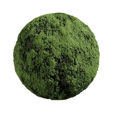 Forest Moss 01 A CG Texturen .c4d .max .obj .3ds .fbx .stl .blend 
