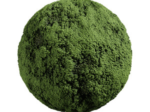 Forest Moss 01 A CG टेक्स्चर्स