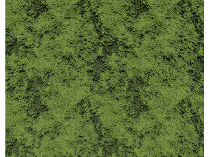 Forest Moss 01 A CG Texturen